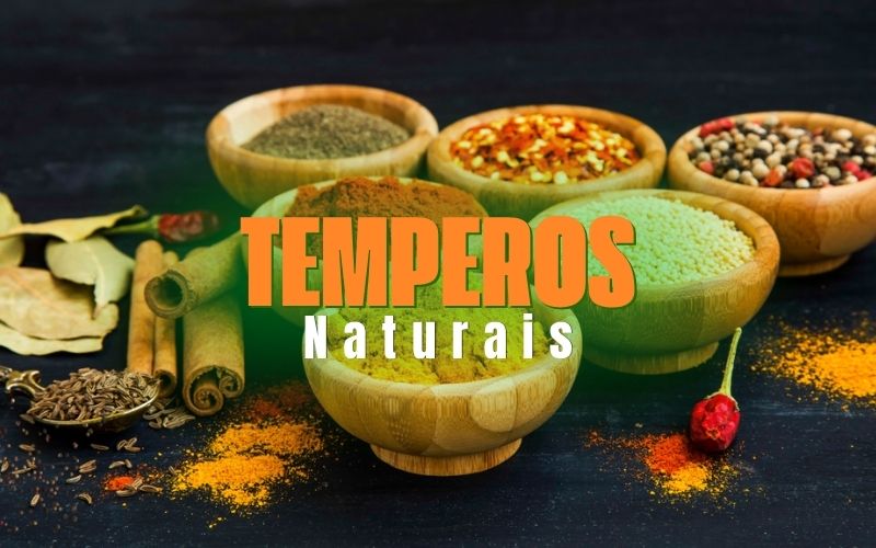Conheça nossa linha de Temperos