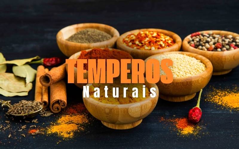 Conheça nossa linha de Temperos